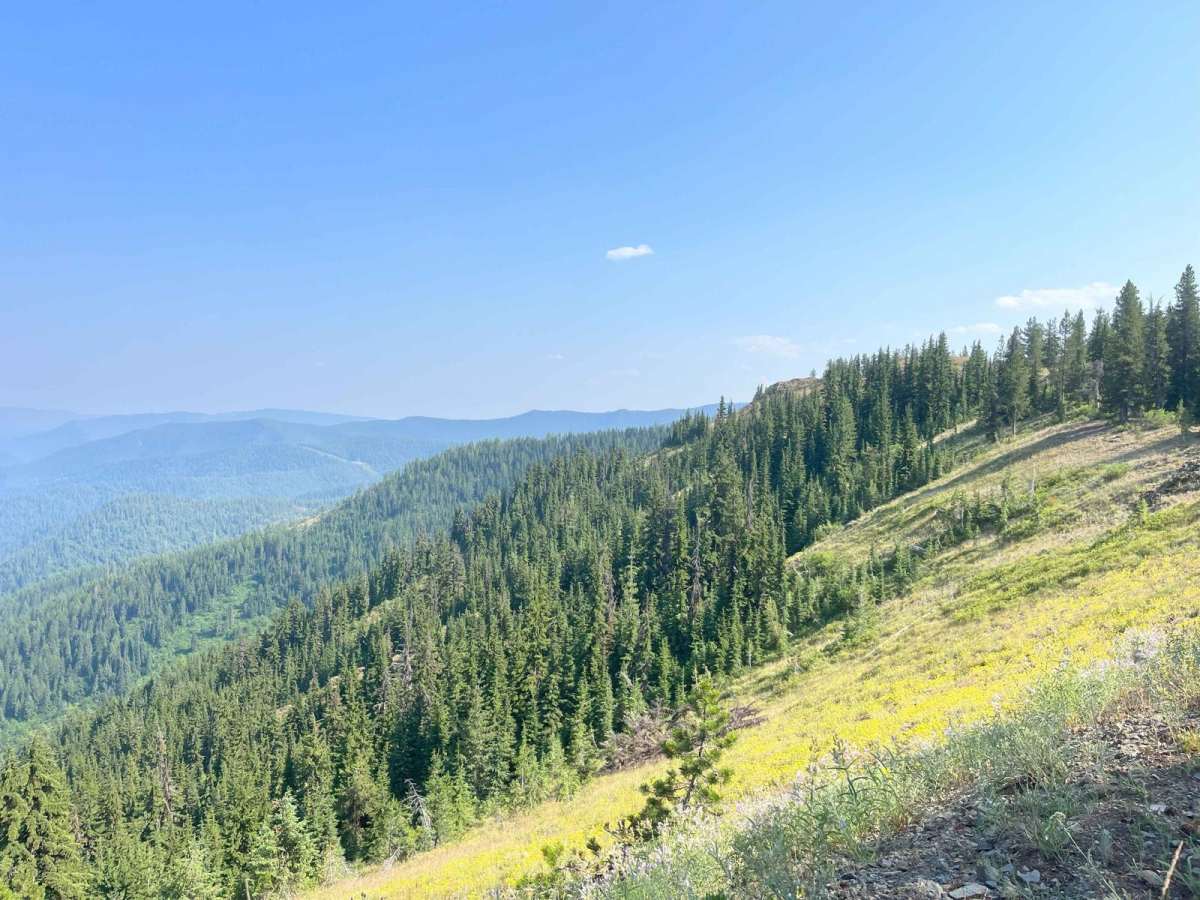 Cedar Mountain 389 photo 4