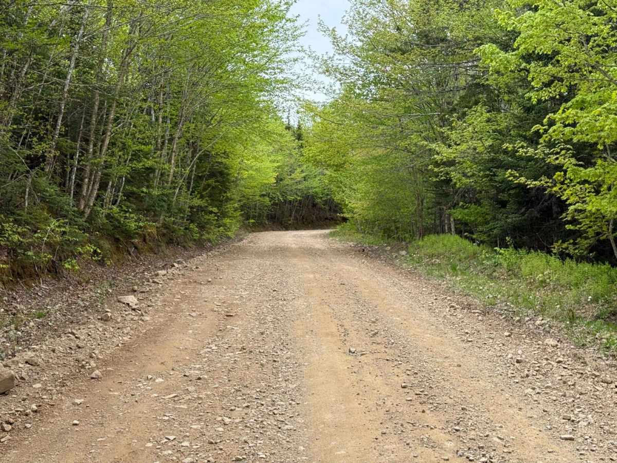 Pipers Glen Road photo 2