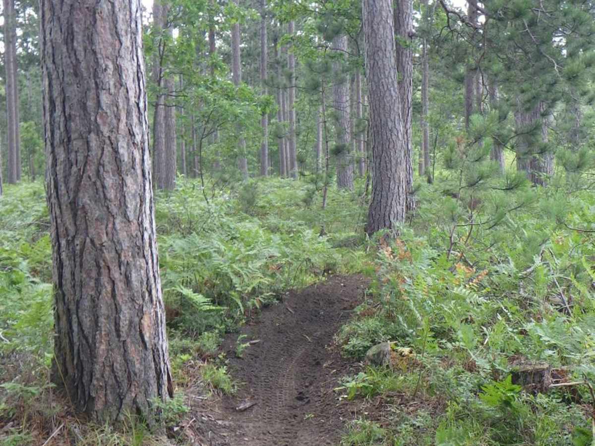 Beaver Creek - MCCCT Hero Line photo 3