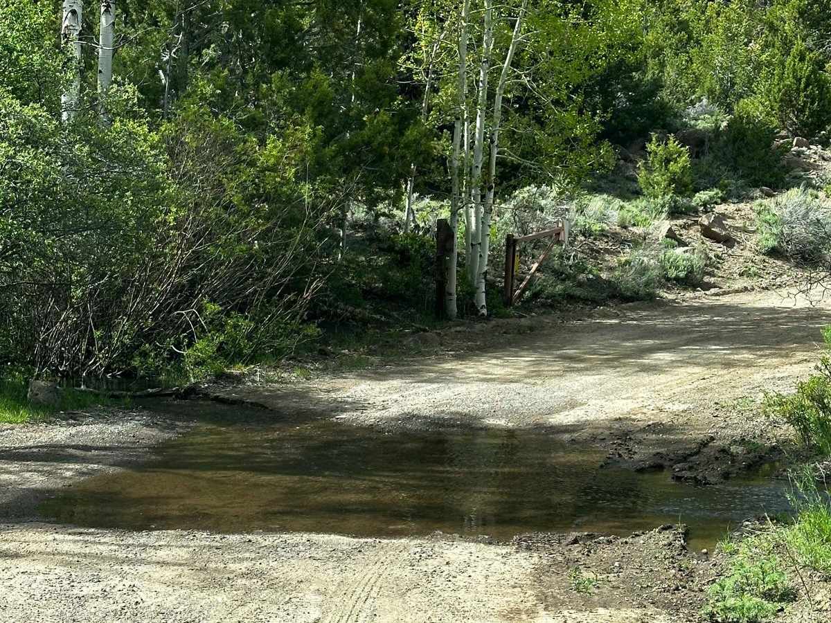 Thousand Lake Mountain Road photo 3