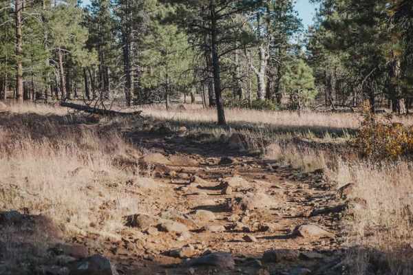 Iron Springs Connector