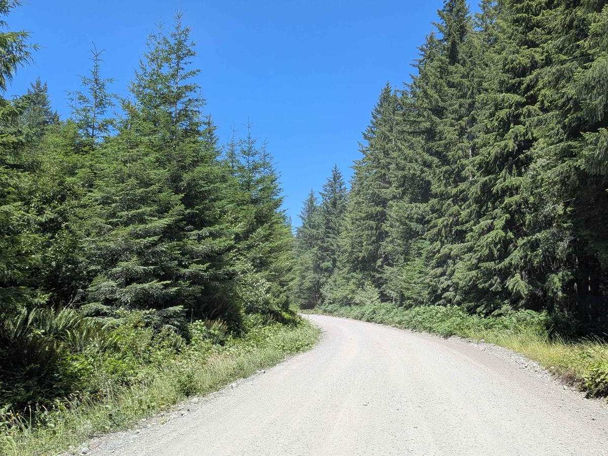 West Woss Road photo 3