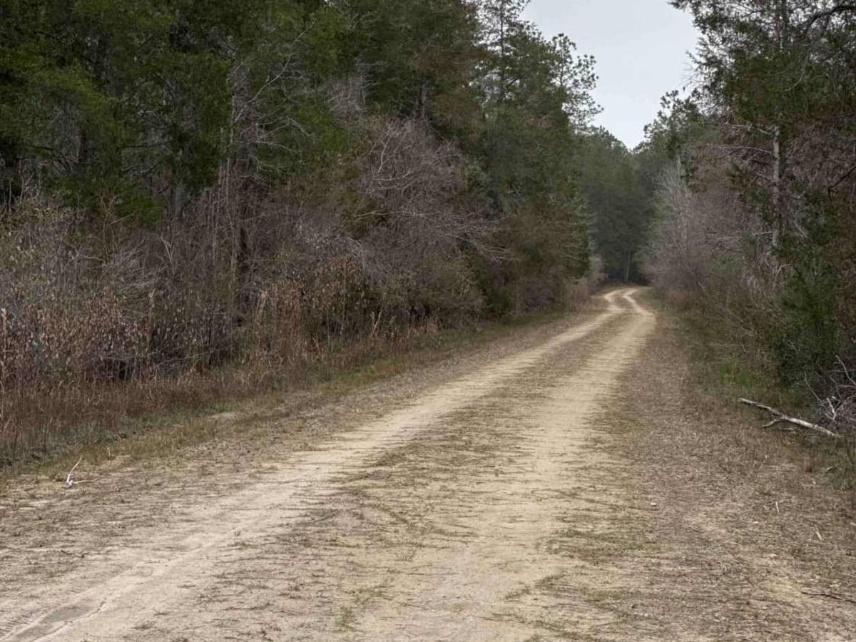 County Line Loop photo 3