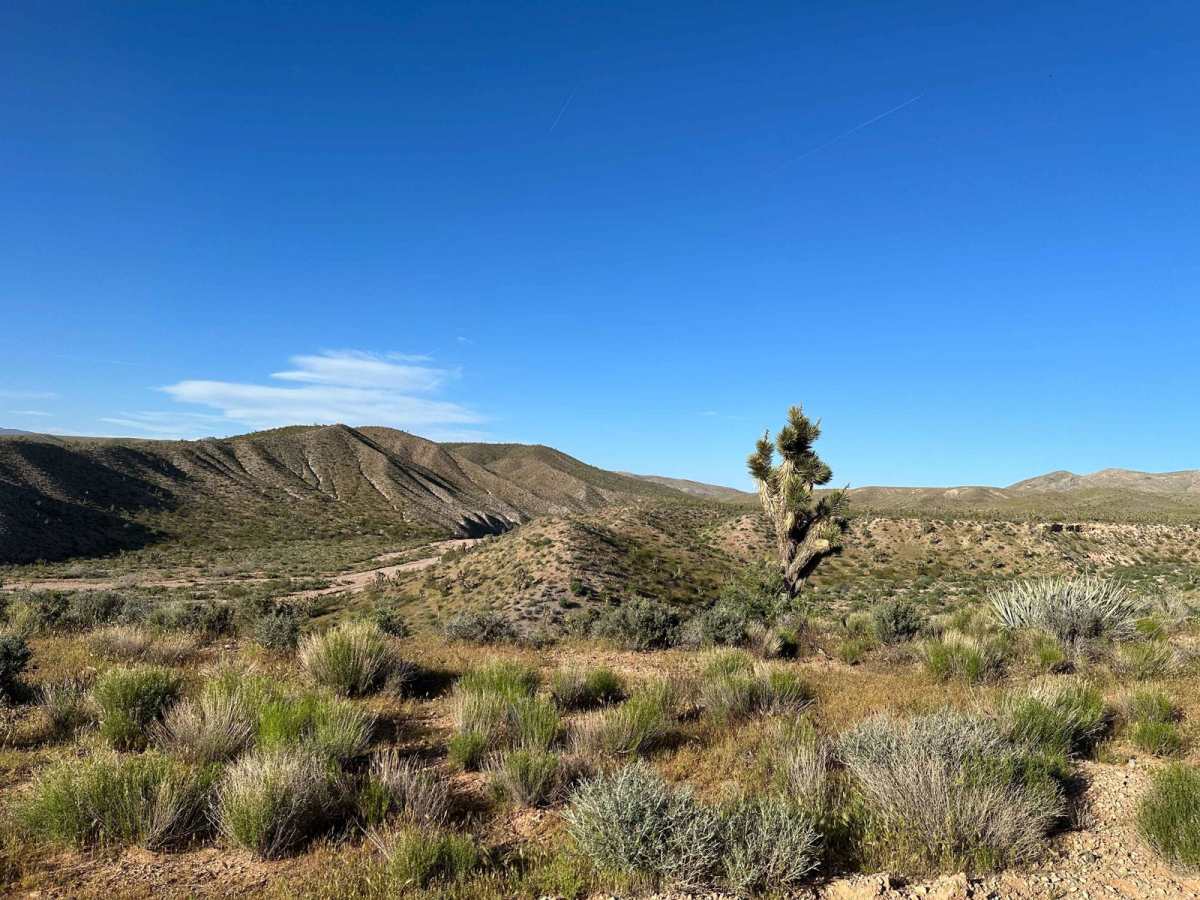 Scarecrow Peak Road trail photo