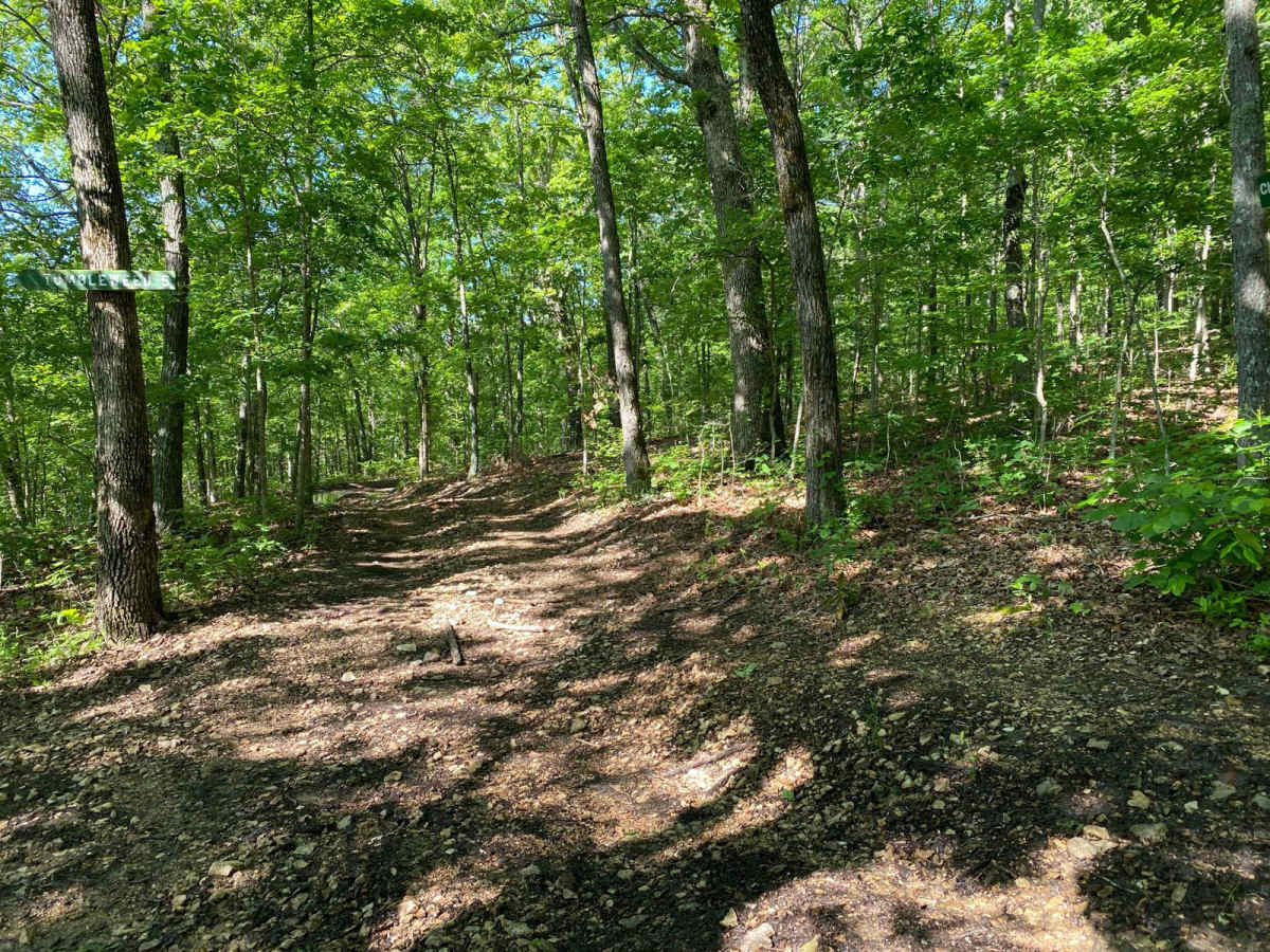 Cherokee Pass photo 4