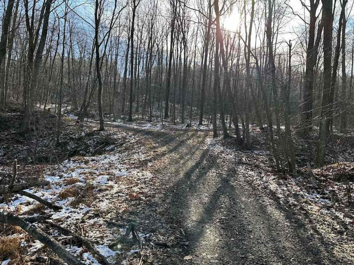 Locust Gap 15 trail photo