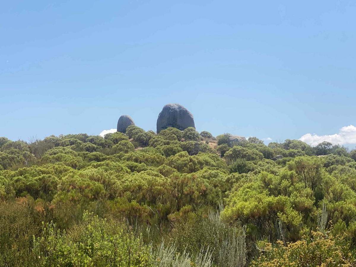 Camino La Laguna Hanson to Highway 3 photo 6