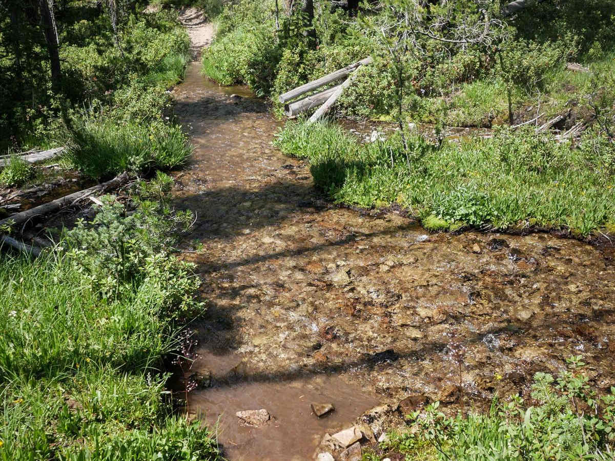 Hay Knapp Creek (North) photo 6