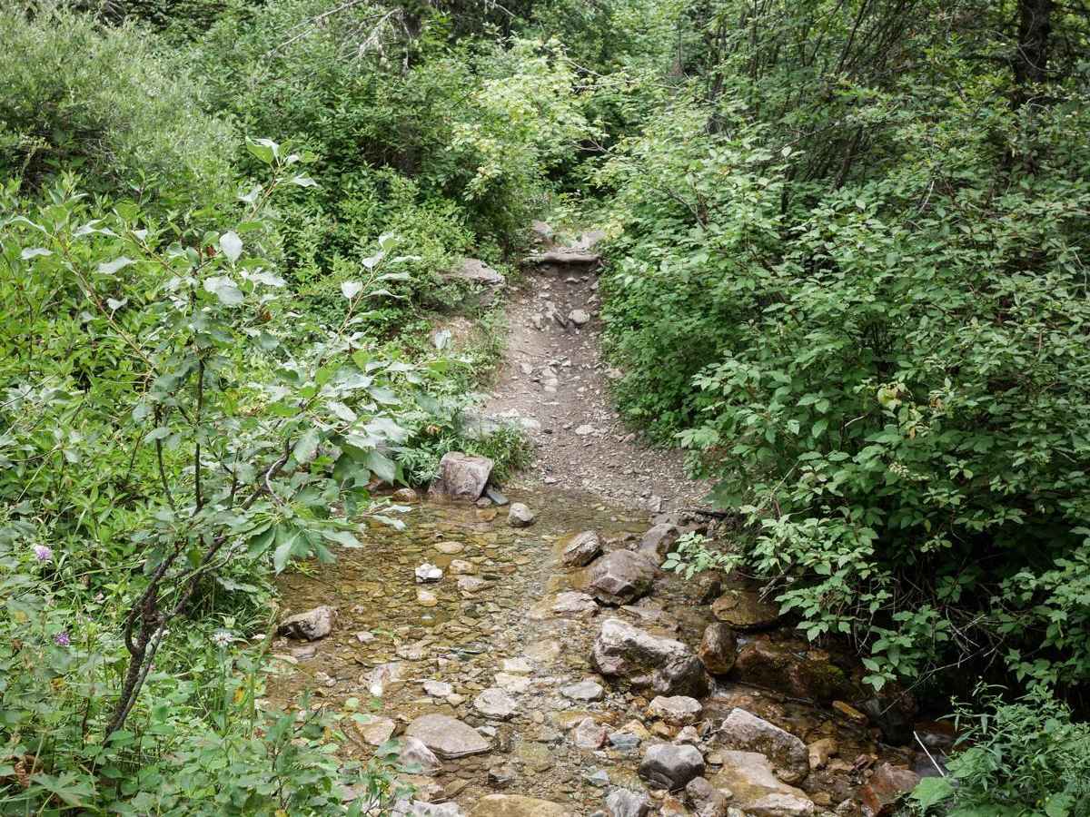 Bridger Mountains photo 6