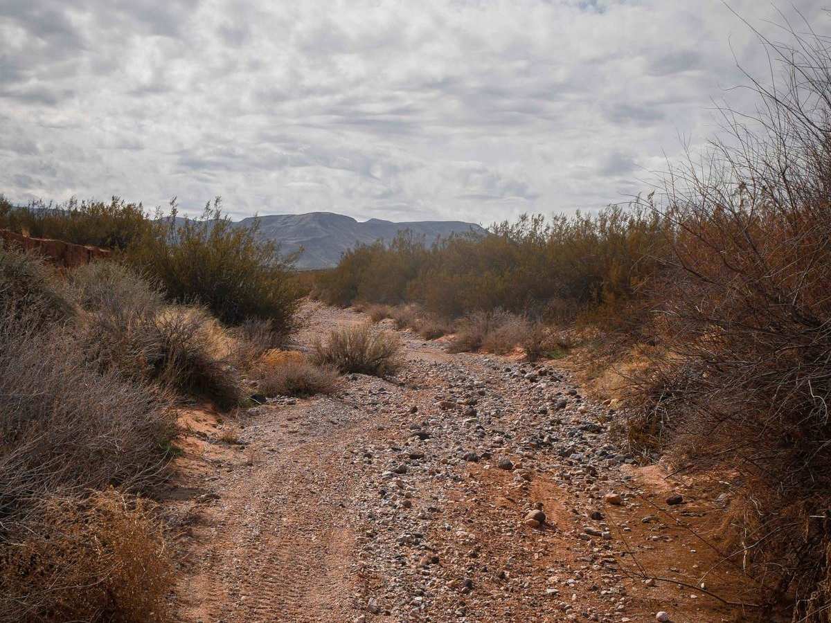 1990 ATV trail photo