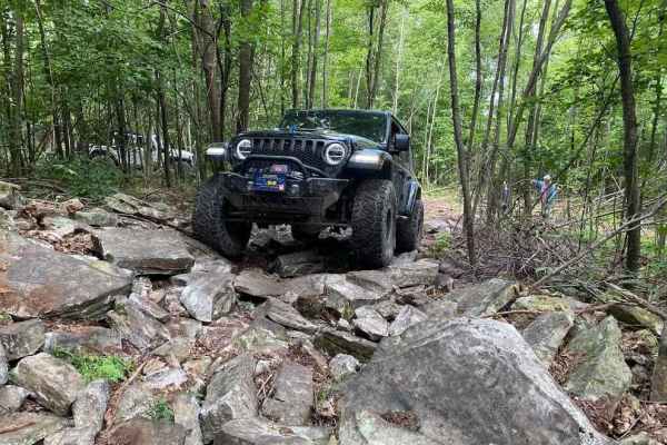 Beaver Creek Black