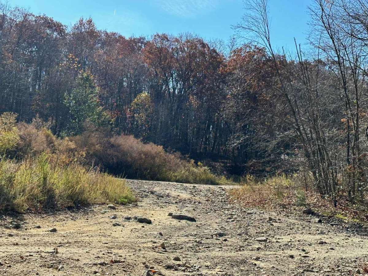Lake Barry photo 4