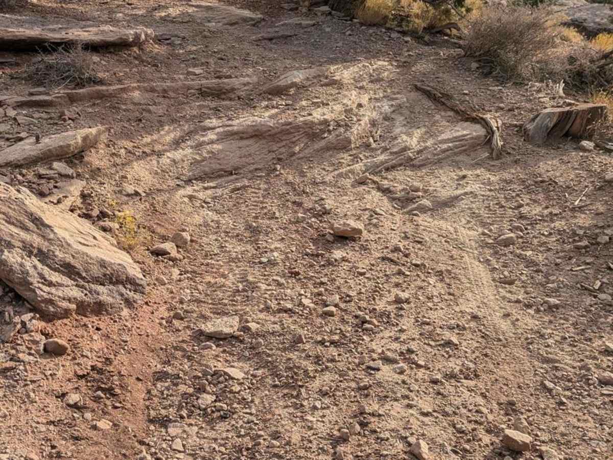 Flying Monkey Trail Access photo 6