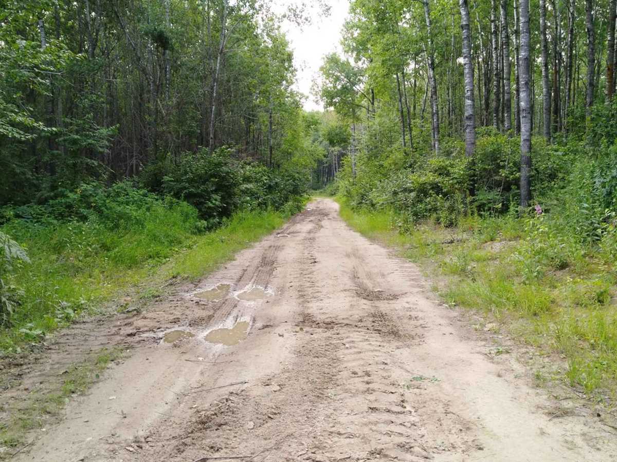 Moose River Connector Trail photo 5