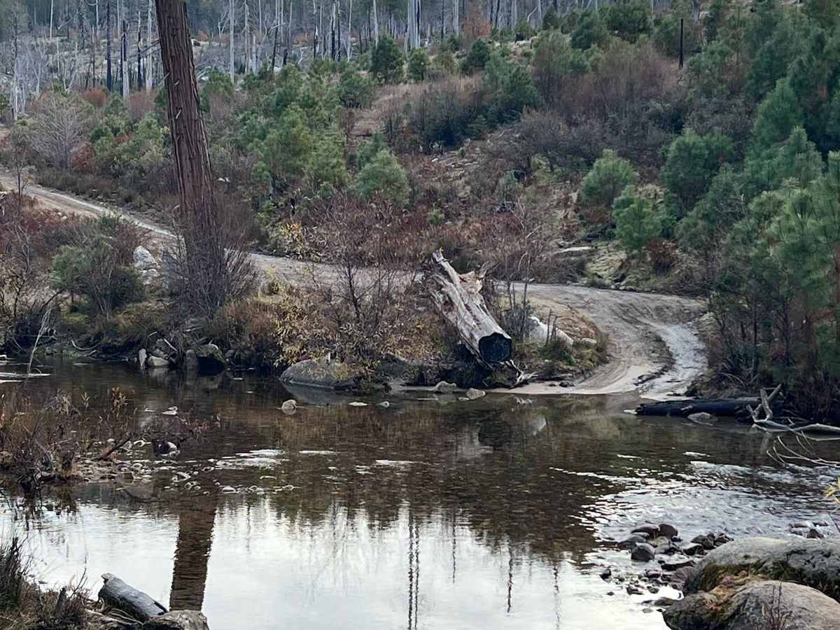 Middle Tuolumne River photo 3