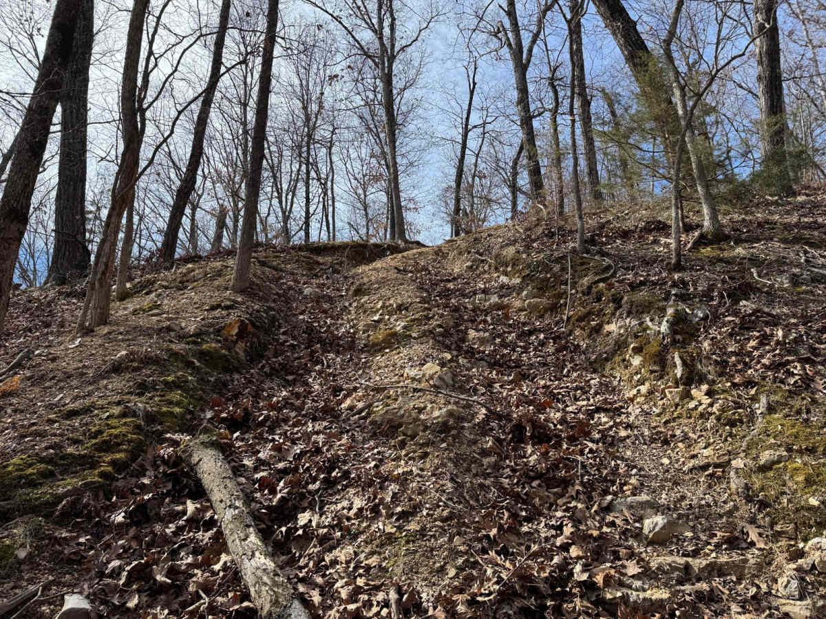 Purple 387 trail photo