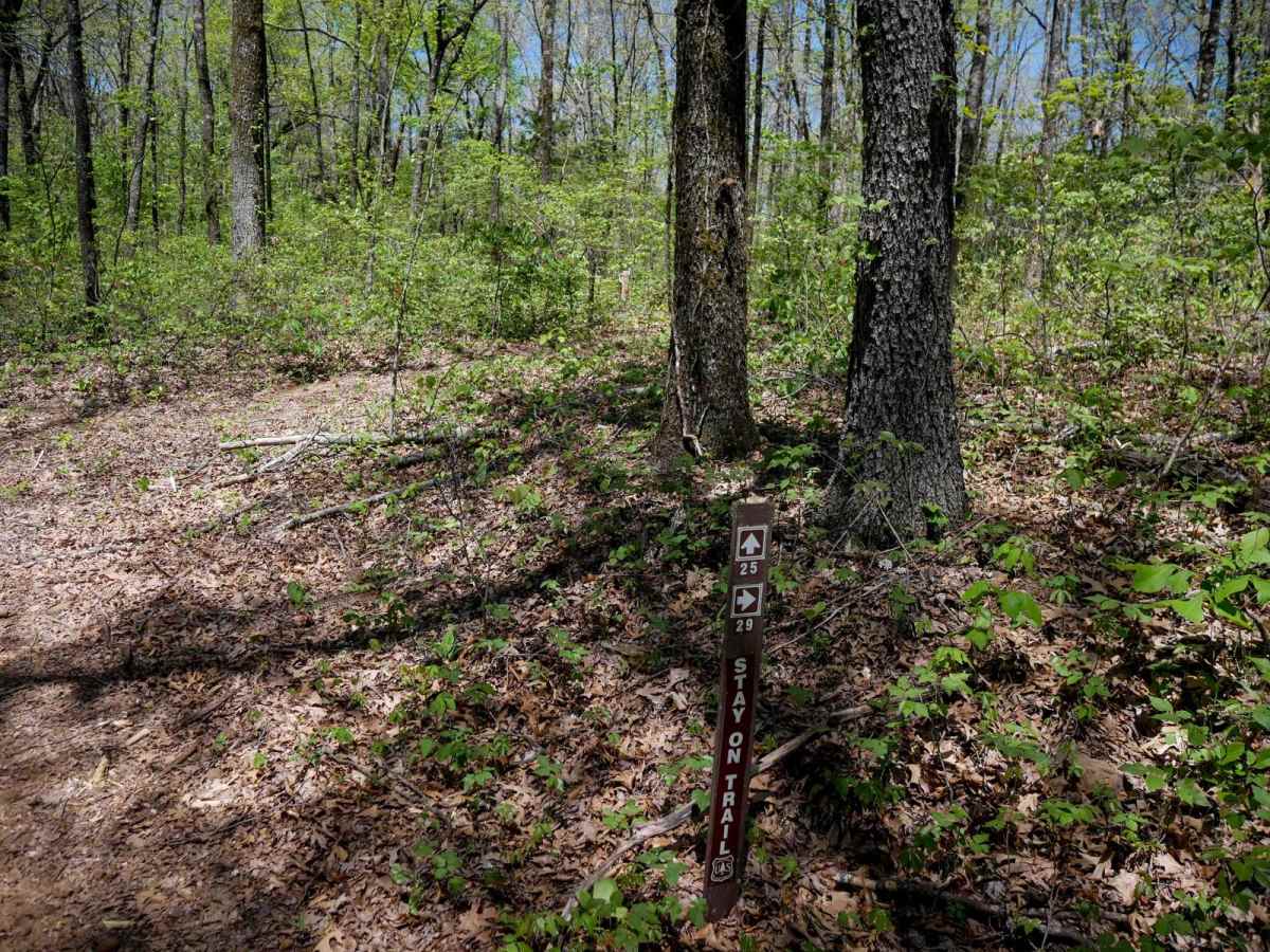 Brock 29 trail photo