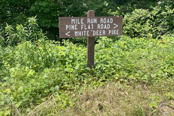 Mile Run Road