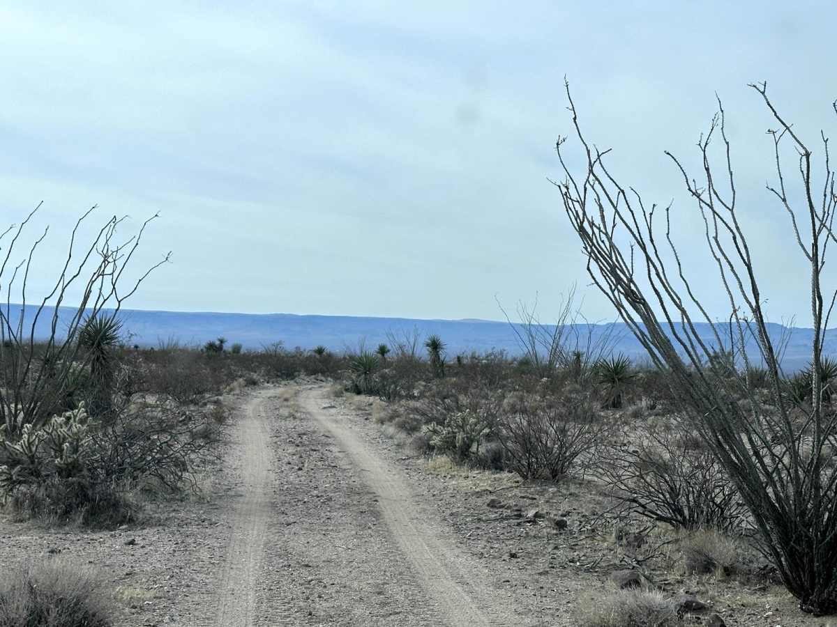 Number Five Trough Trail photo 3