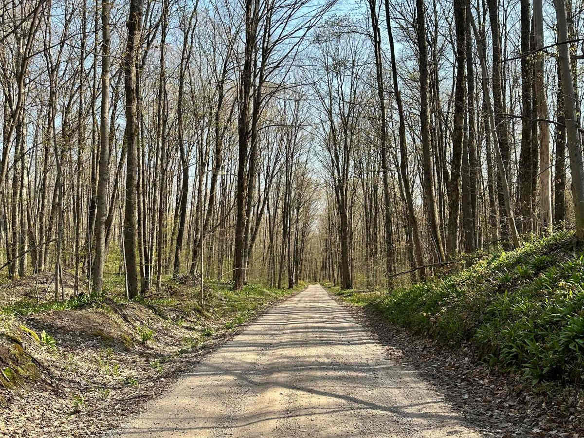 Cadillac Area ORV/OHV Scenic Ride - Part 9 photo 3