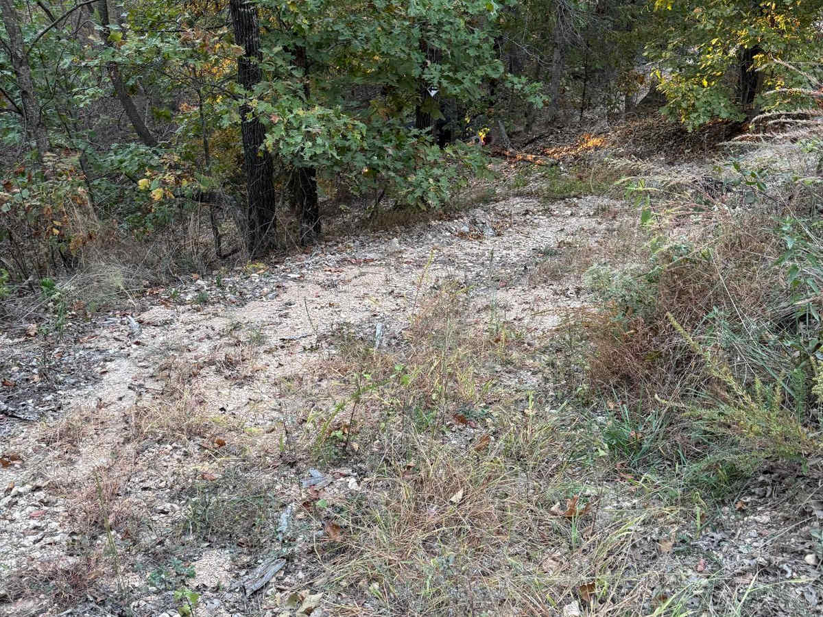 Yellow 41 trail photo