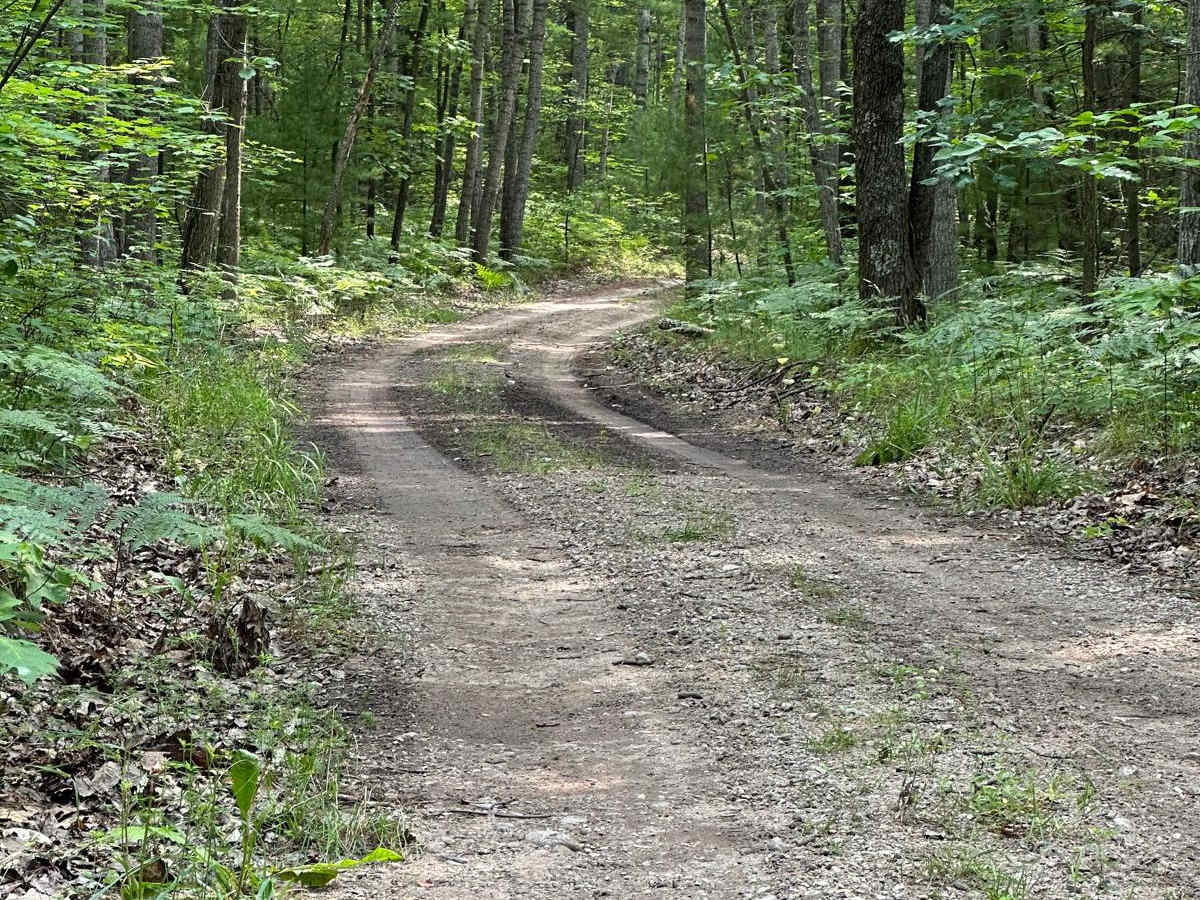 Turtle Lake Trail photo 4