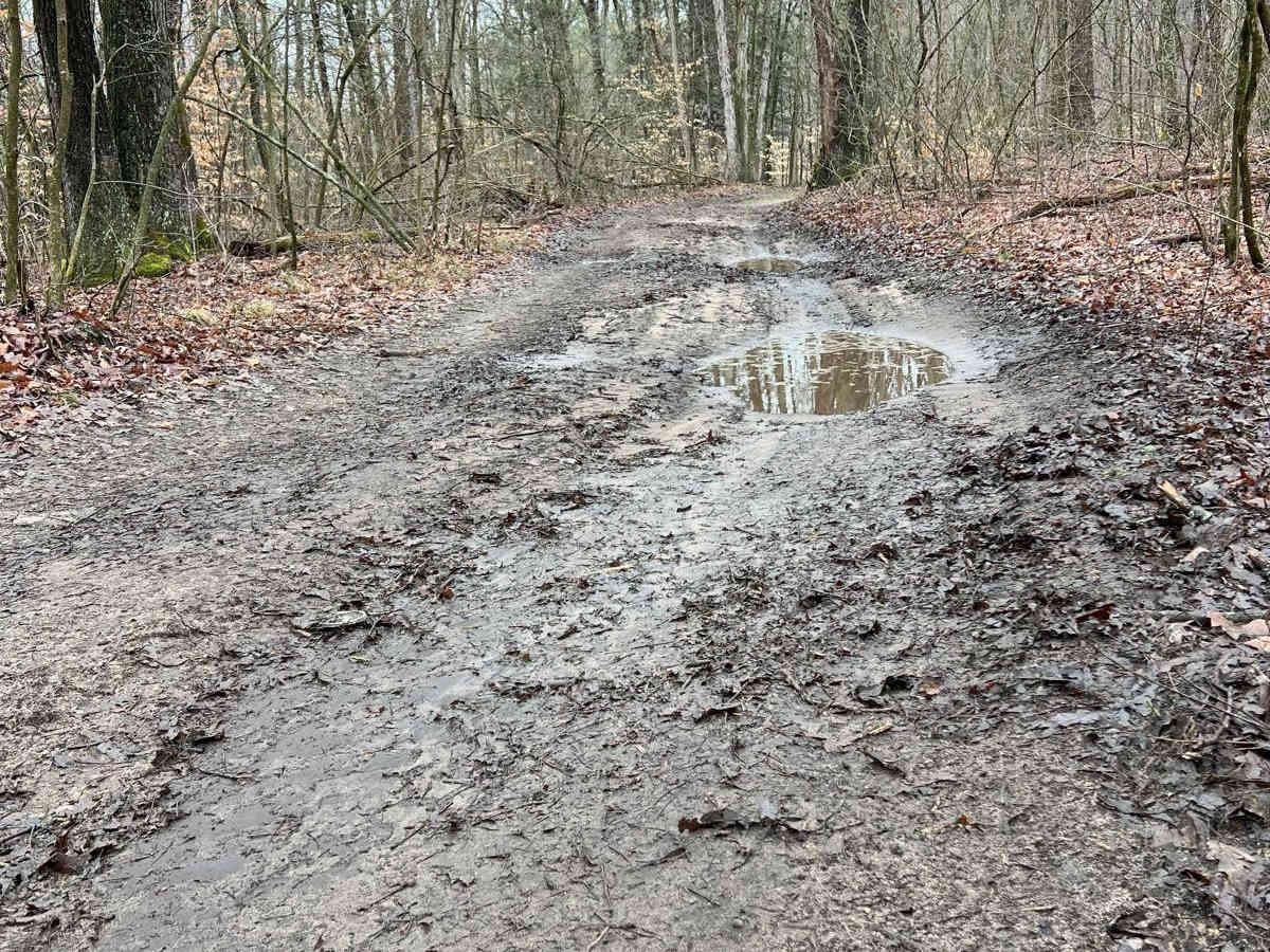 Kalamazoo River Bluffs Trail photo 5