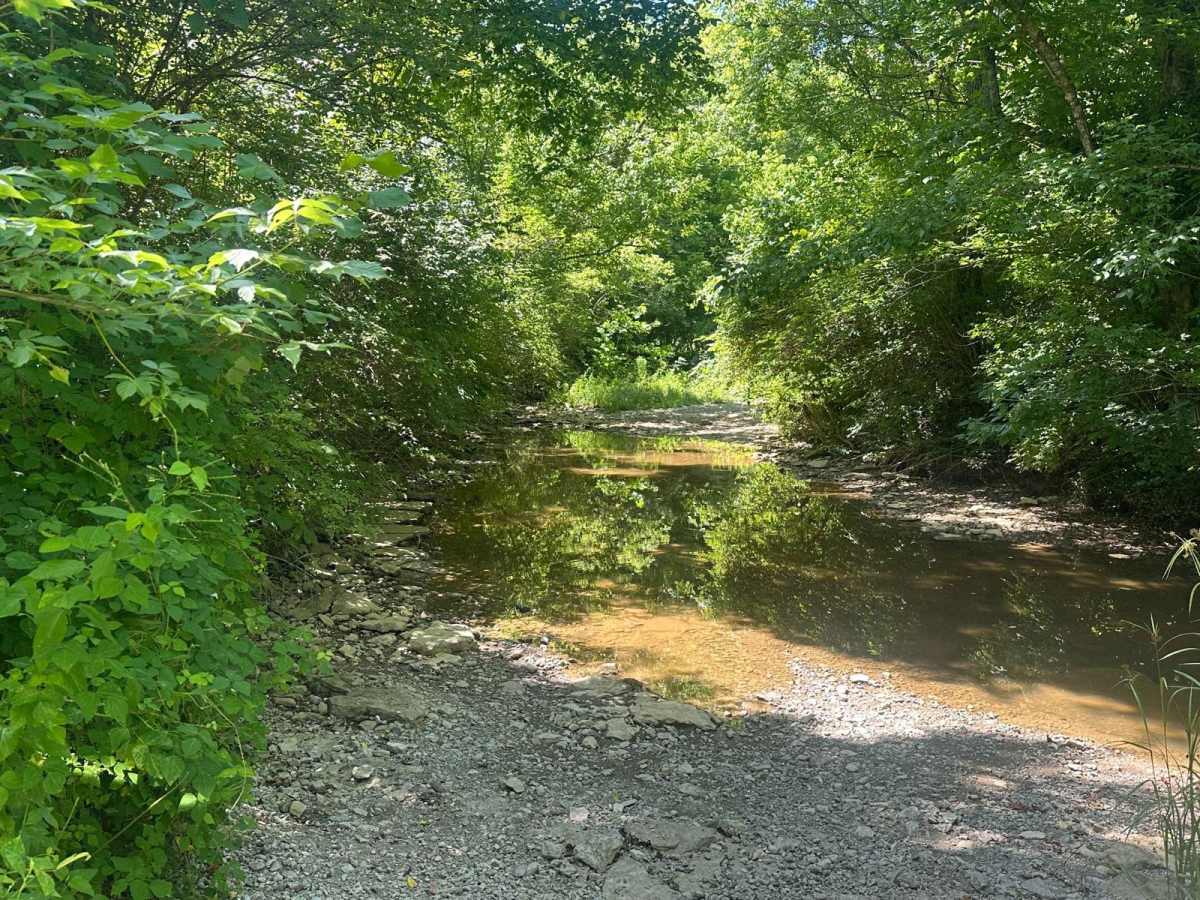 Jackson Branch Road photo 3