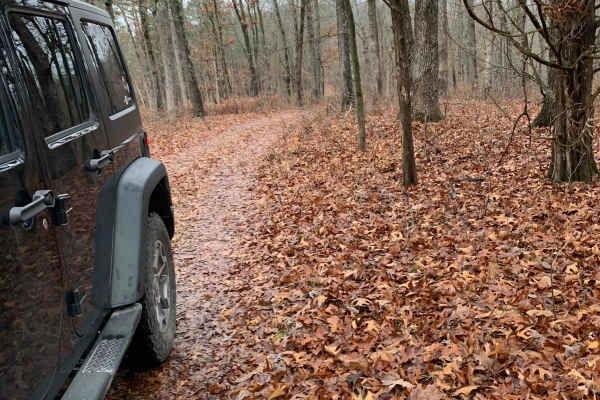 FR 1181 to Scroggins Ridge