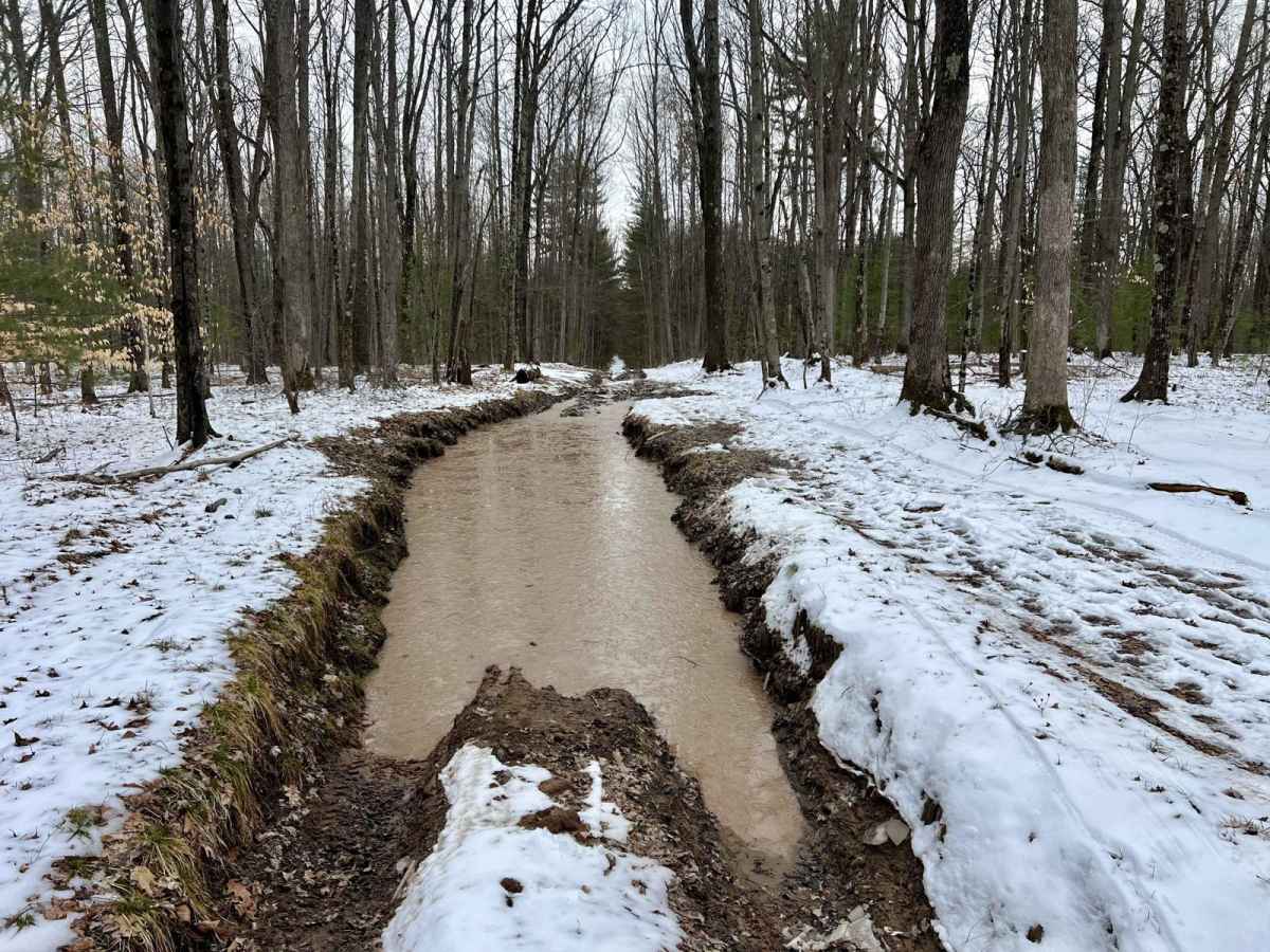 NFS 9736 (Mud Bogger) trail photo