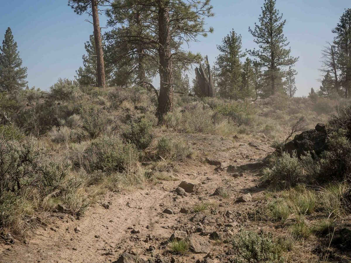 44 trail photo