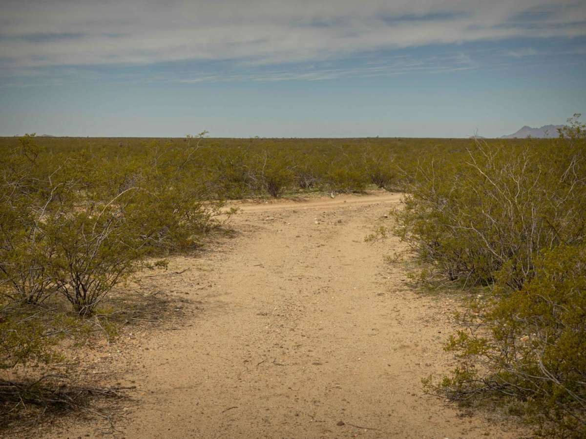 7Mile Island trail photo