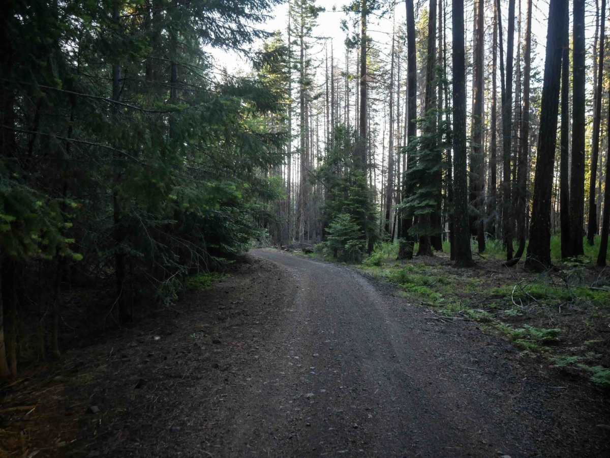 576E photo 5