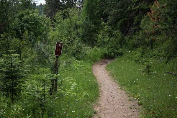 Canfield Mountain- Trail 11