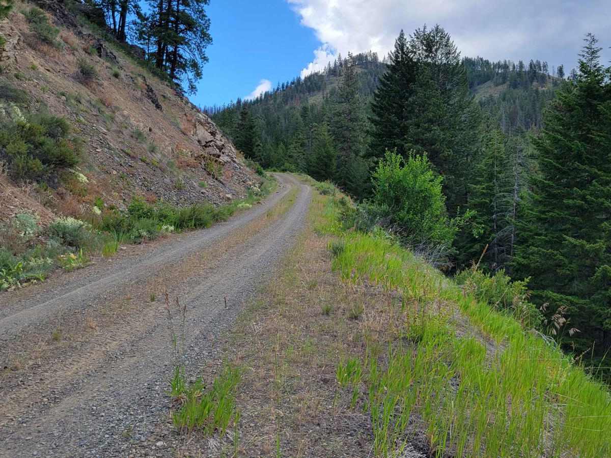 Cow Creek Road 4415040 photo 3