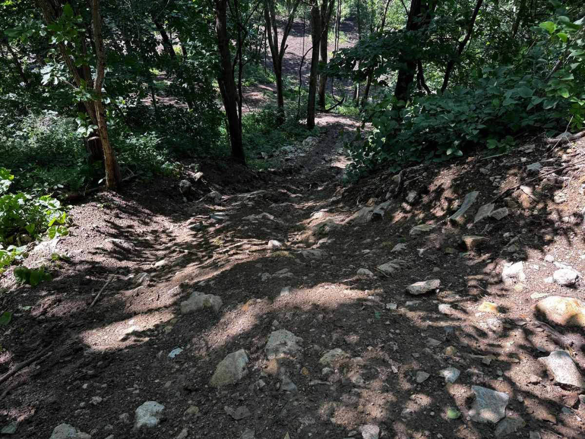 Murfee's Run 208 photo 6
