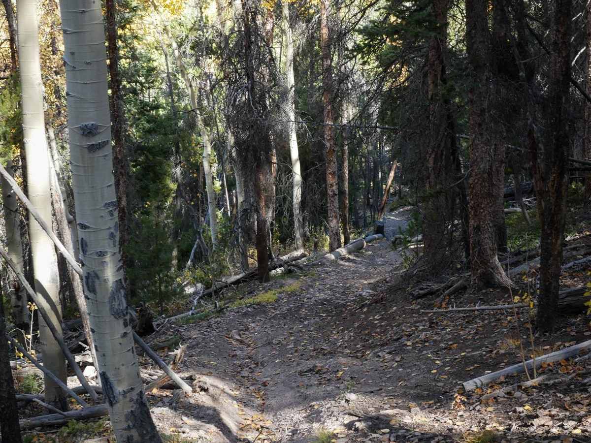 North Gulch photo 3