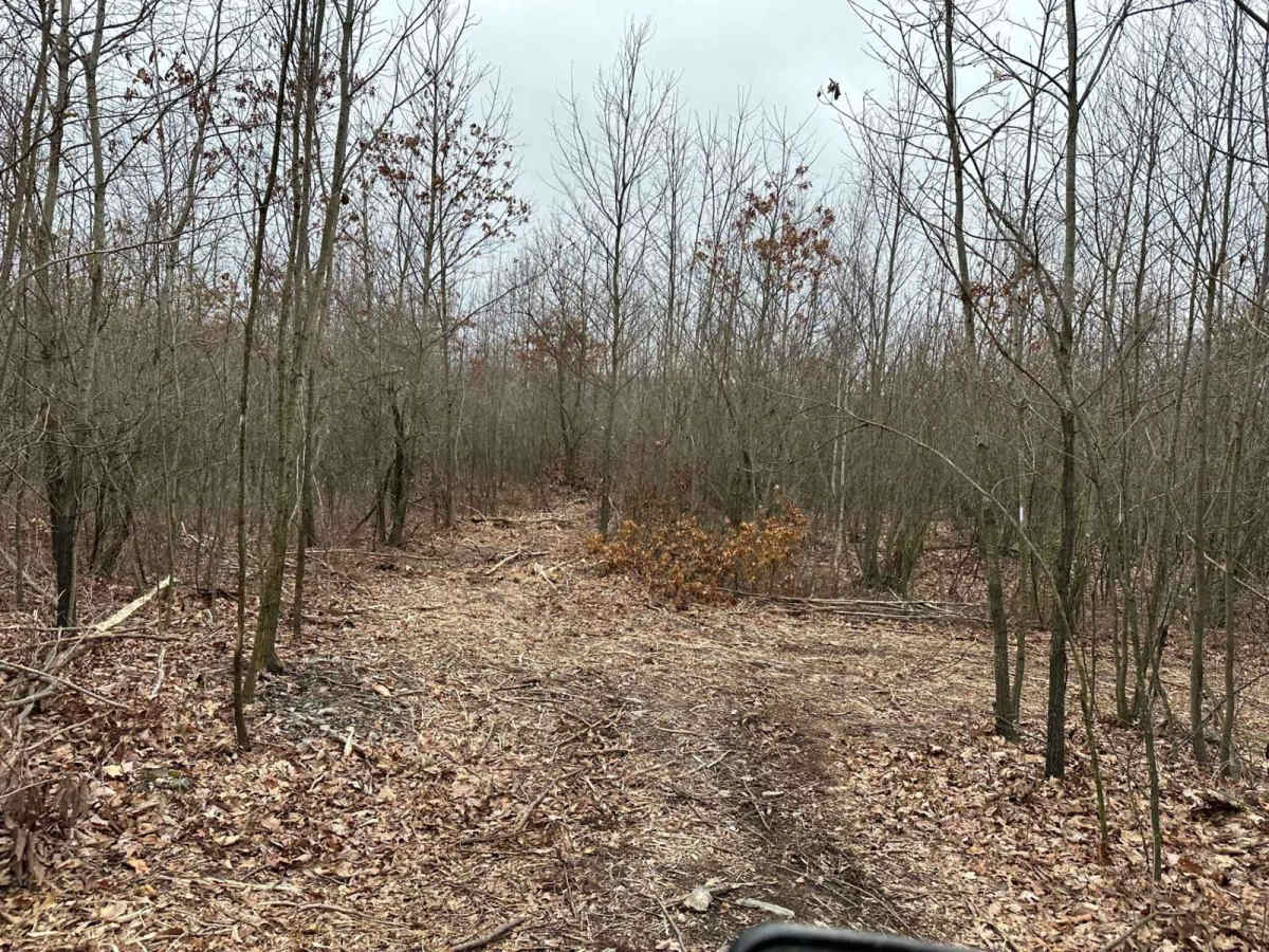 Darkwater 108 West photo 6