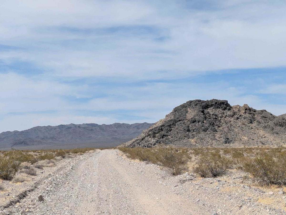 BLM 927692 photo 3