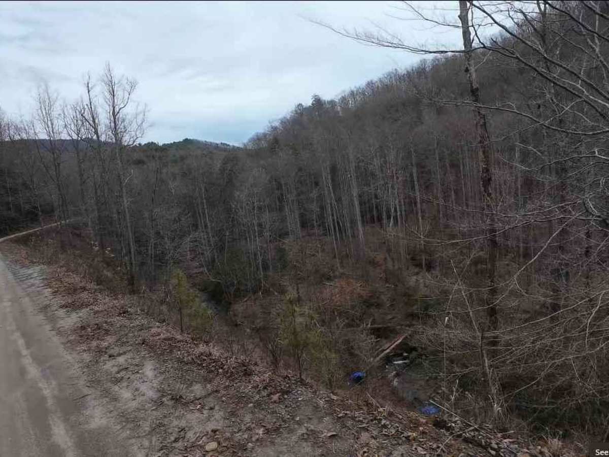 Tuni Gap Road - FS 440 photo 4