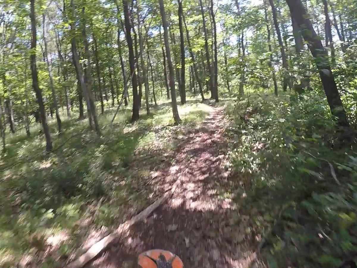 Mountain Ridge ATV Park Singletrack CD photo 4