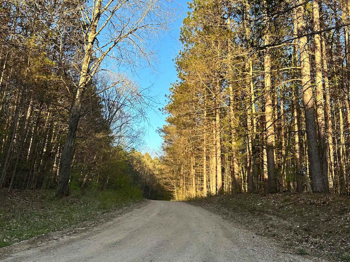 Cadillac Area ORV/OHV Scenic Ride - Part 21 photo 4