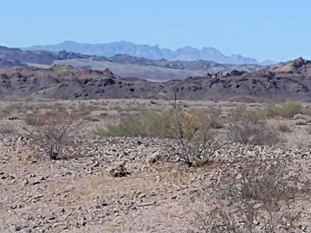 Osborne Wash trail photo
