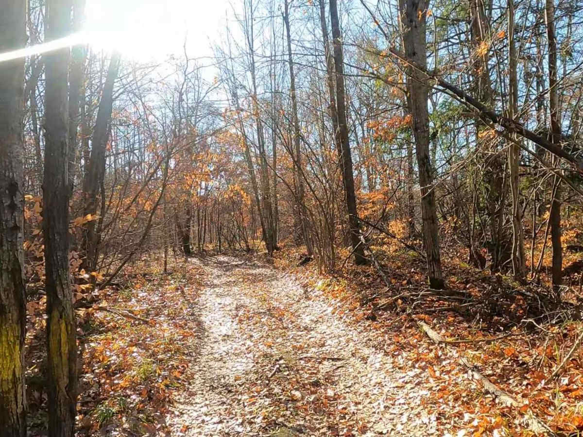 Twin Creek Twisty Trail photo 5
