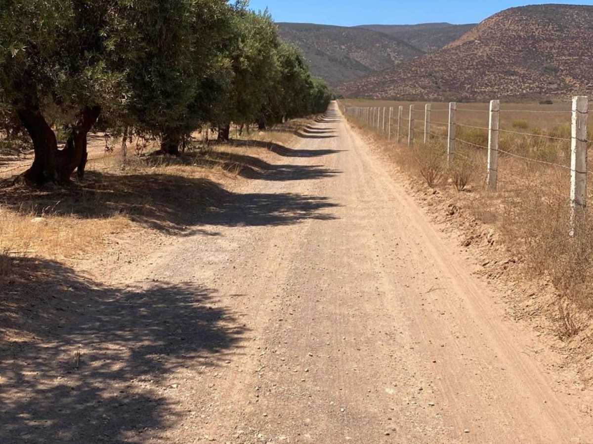 South of Cerro Blanco trail photo