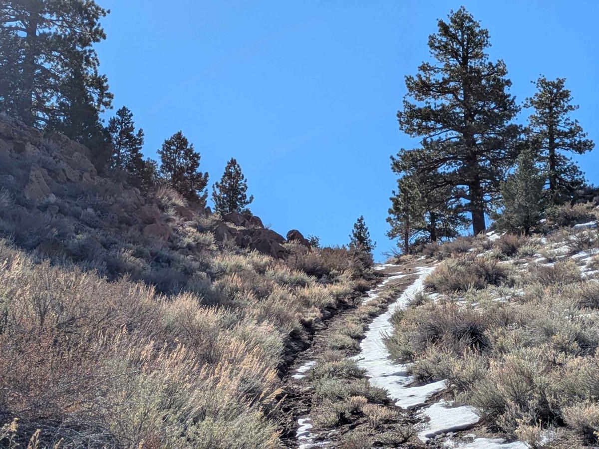 Round Mountain Turnoff - FS 3S54 photo 2