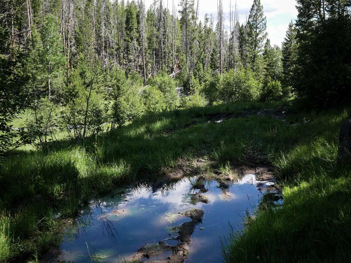 Lion Gulch photo 6