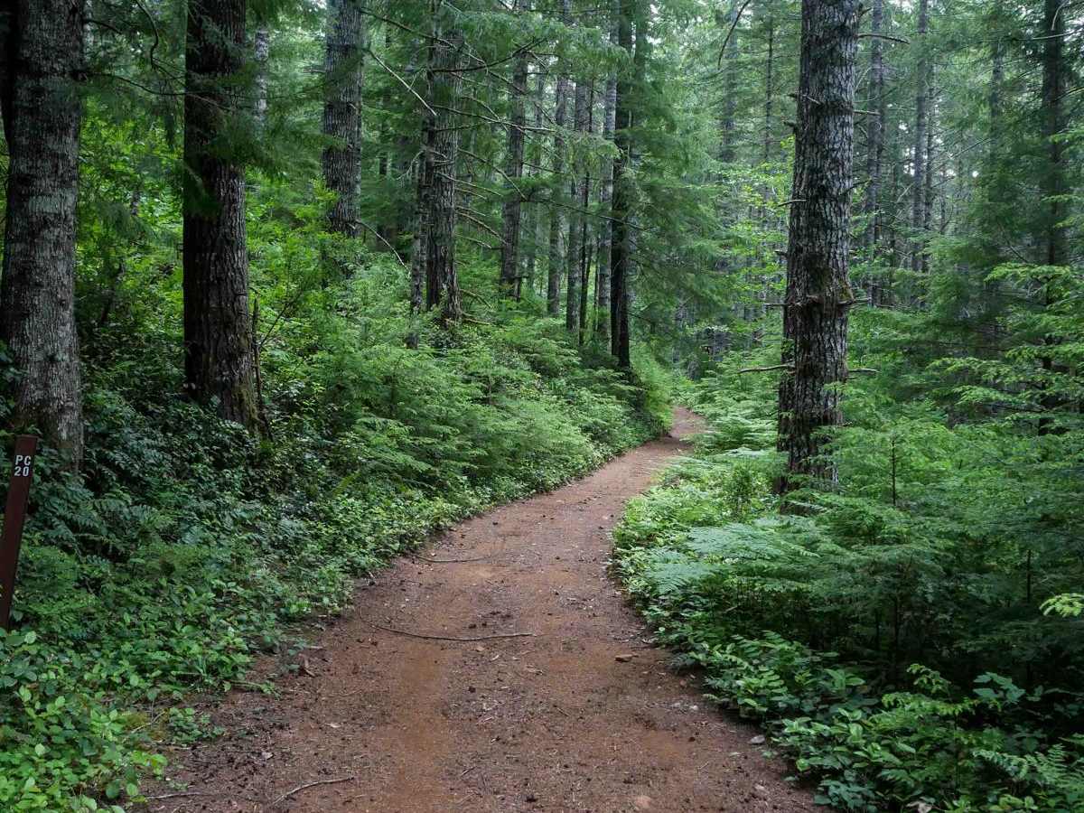 PC20 trail photo
