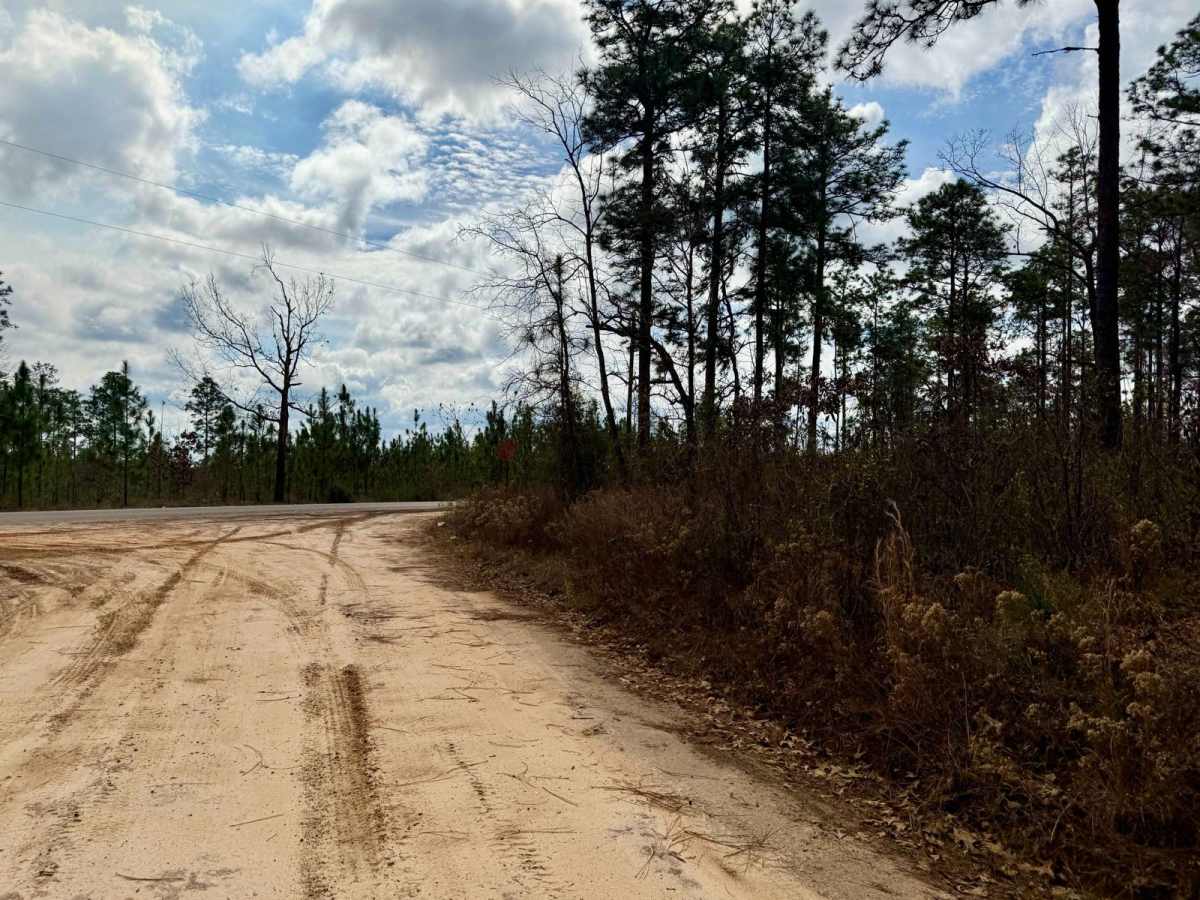 Burned Out Bridge Road photo 2