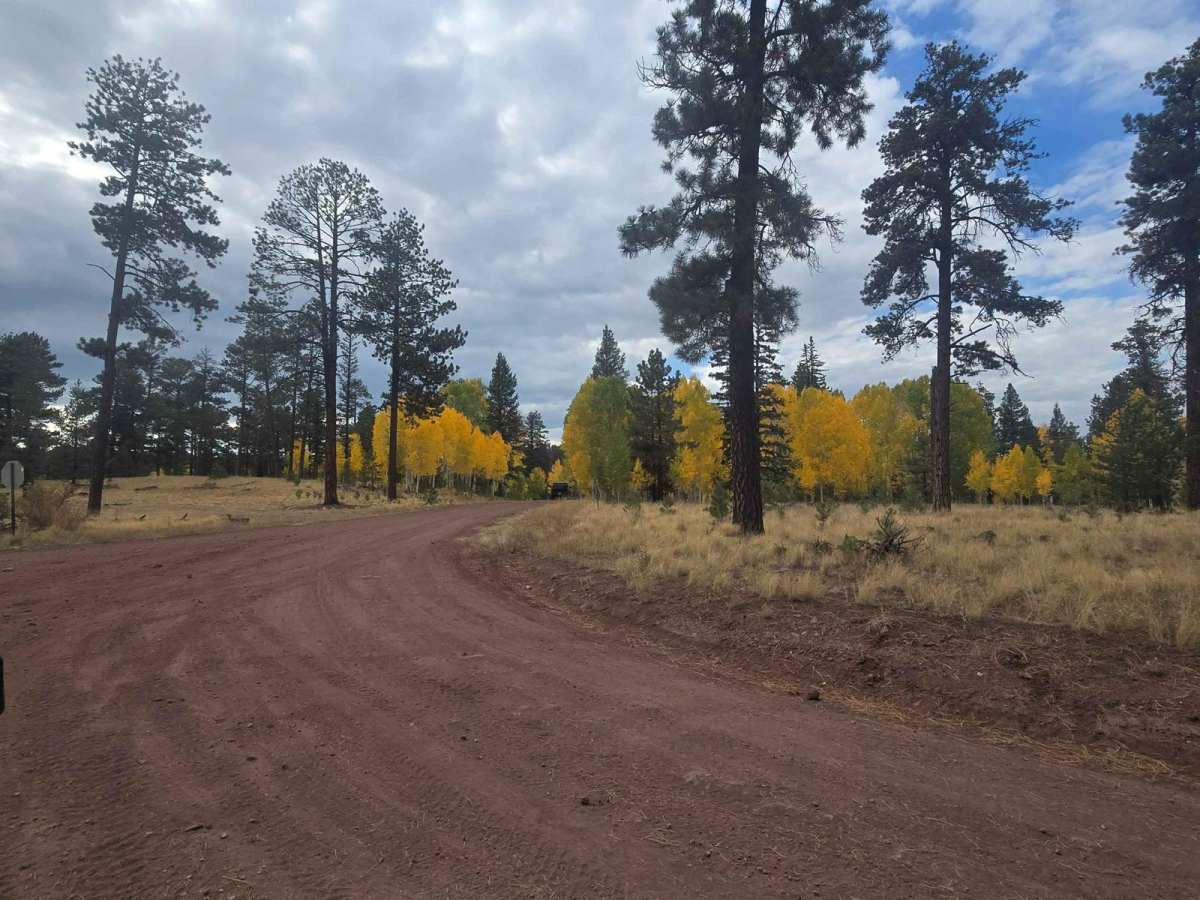 Hall Creek Road trail photo